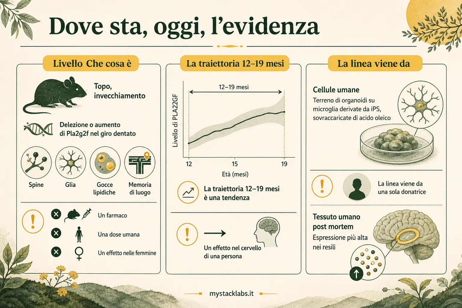 Dove sta, oggi, l'evidenza