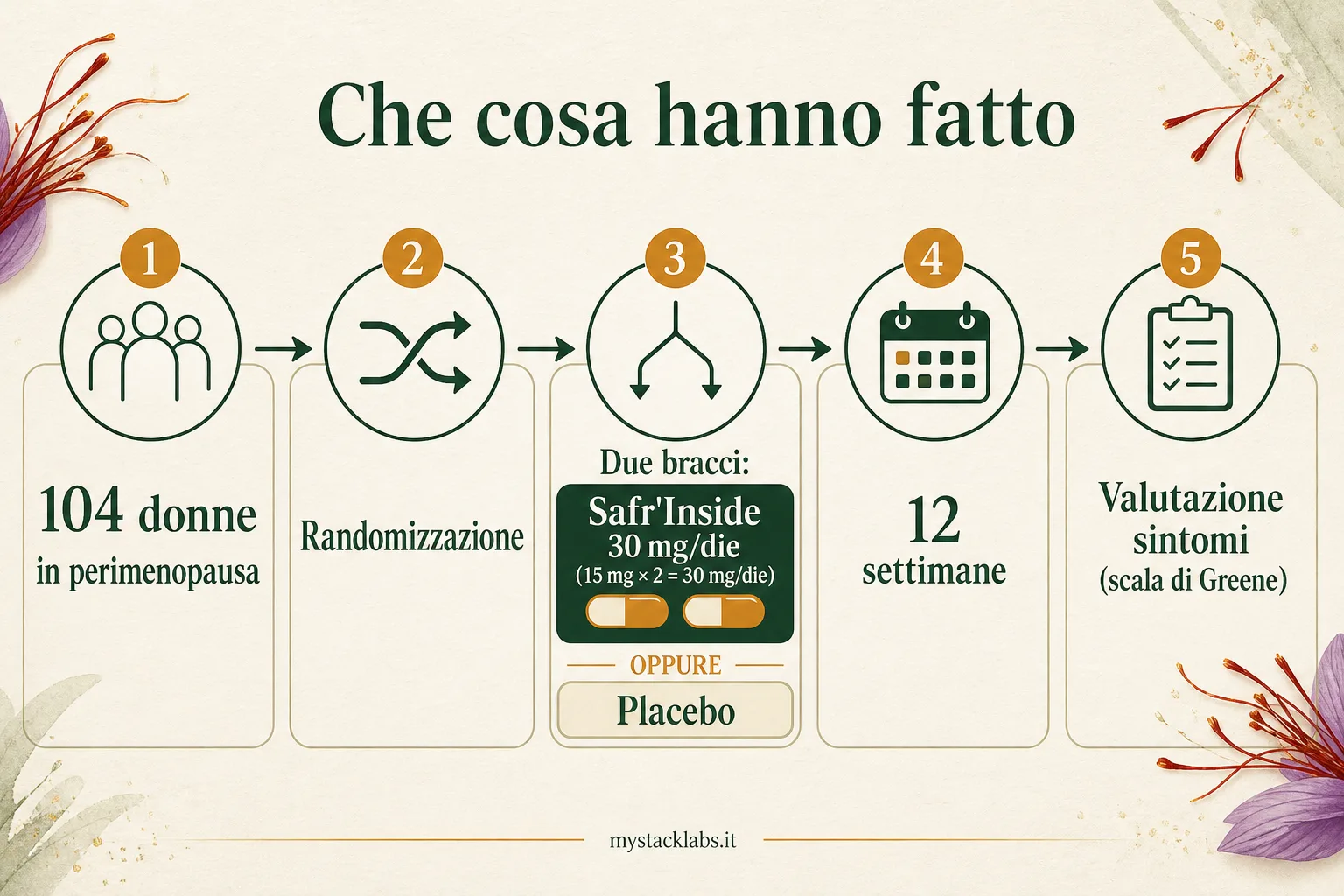 Che cosa hanno fatto